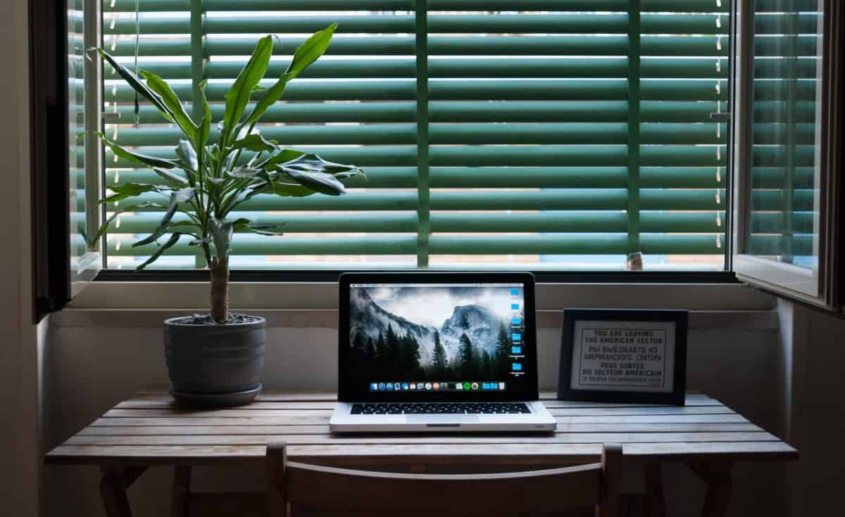 Find yourself a spot with plenty of natural light