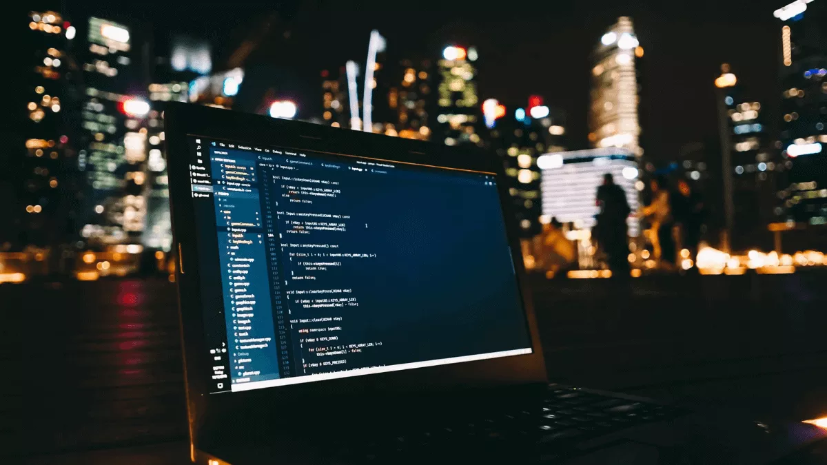 platform for beginner or intermediate web developer