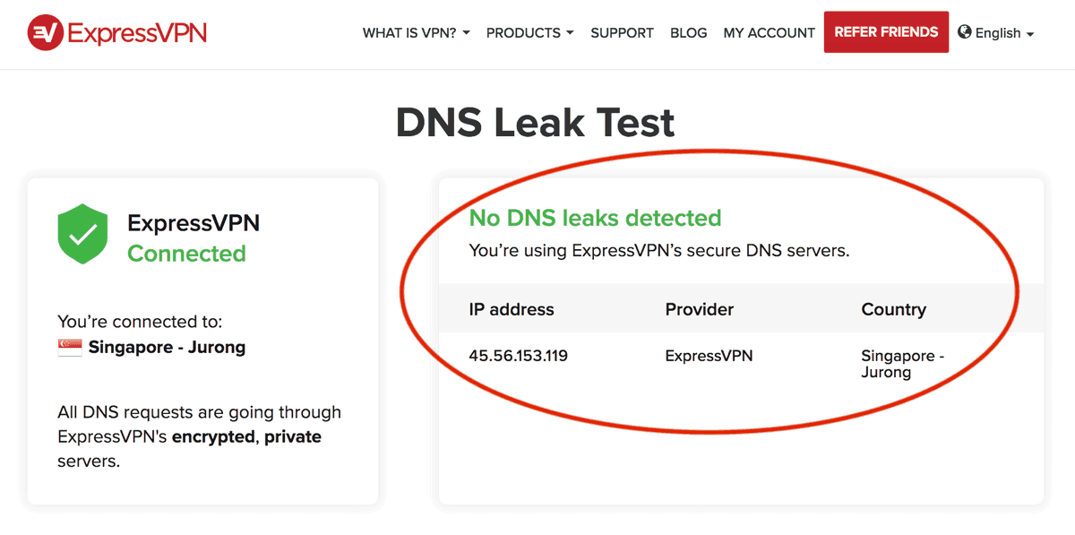 DNS-Leaks Proof