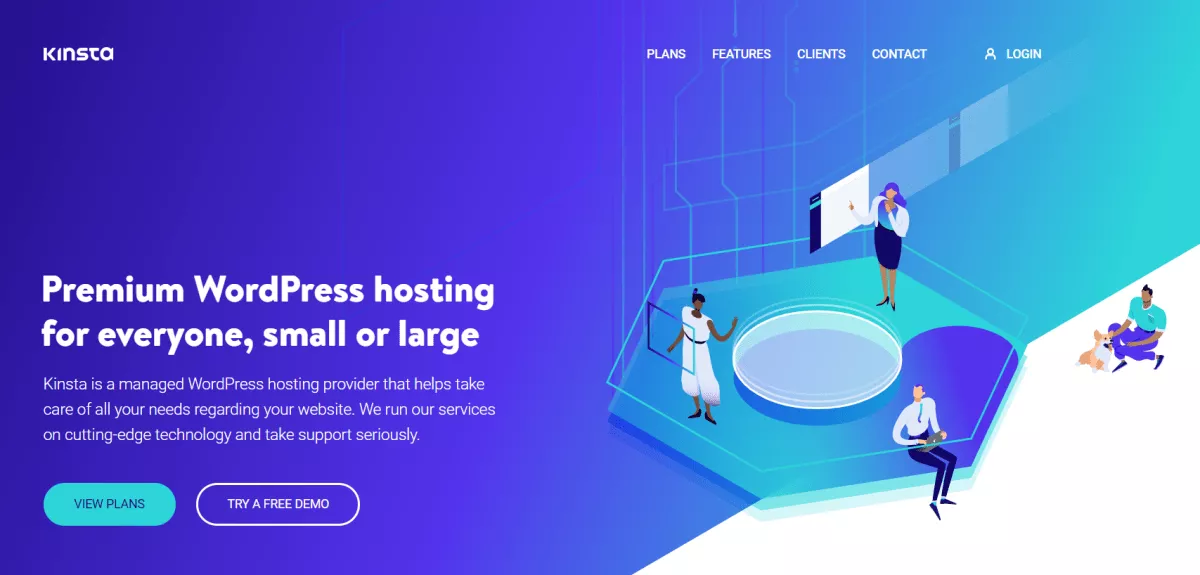 kinsta homepage