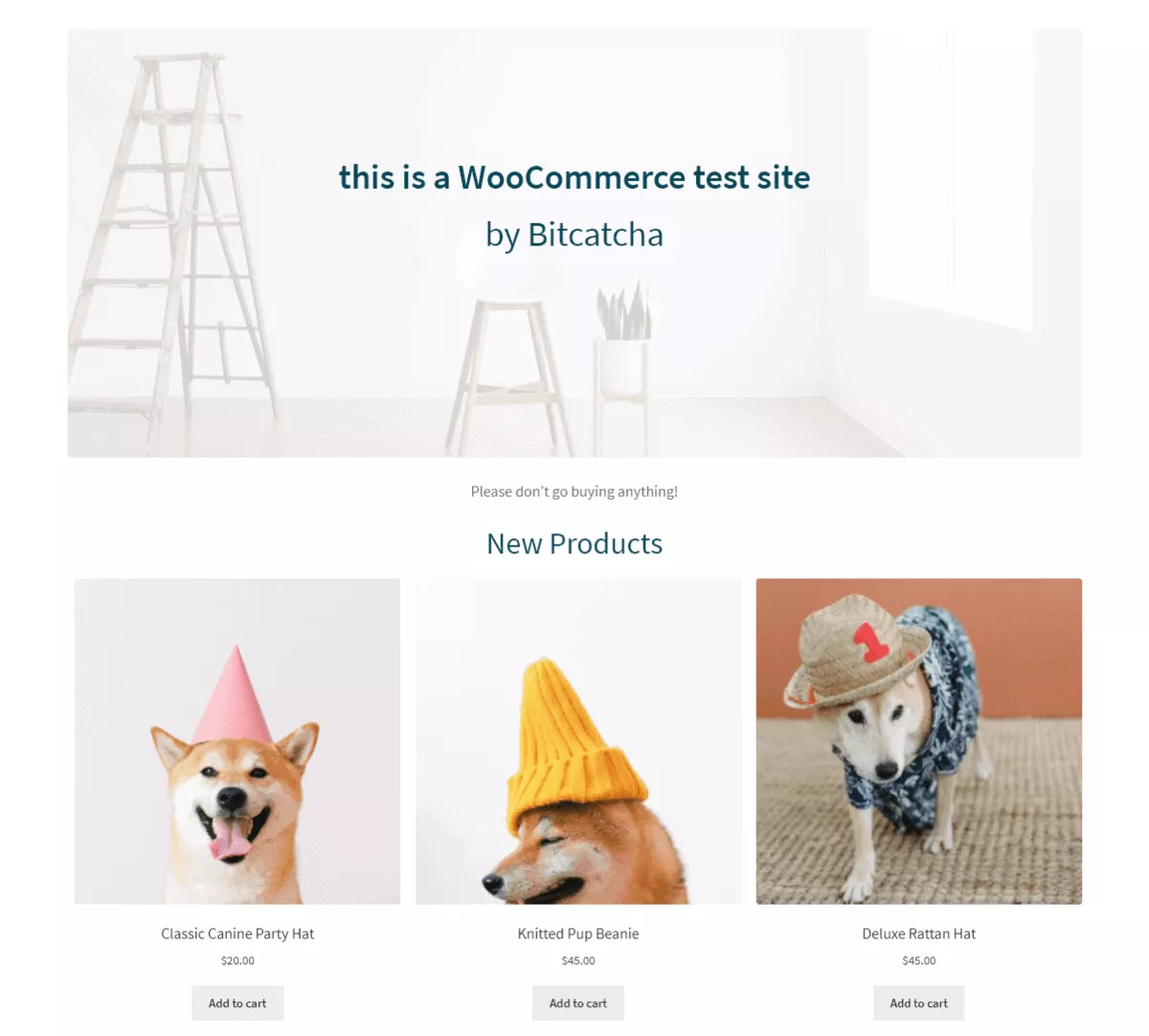 woocommerce test site by bitcatcha