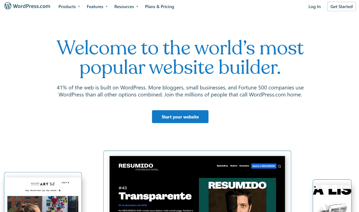 wordpress website