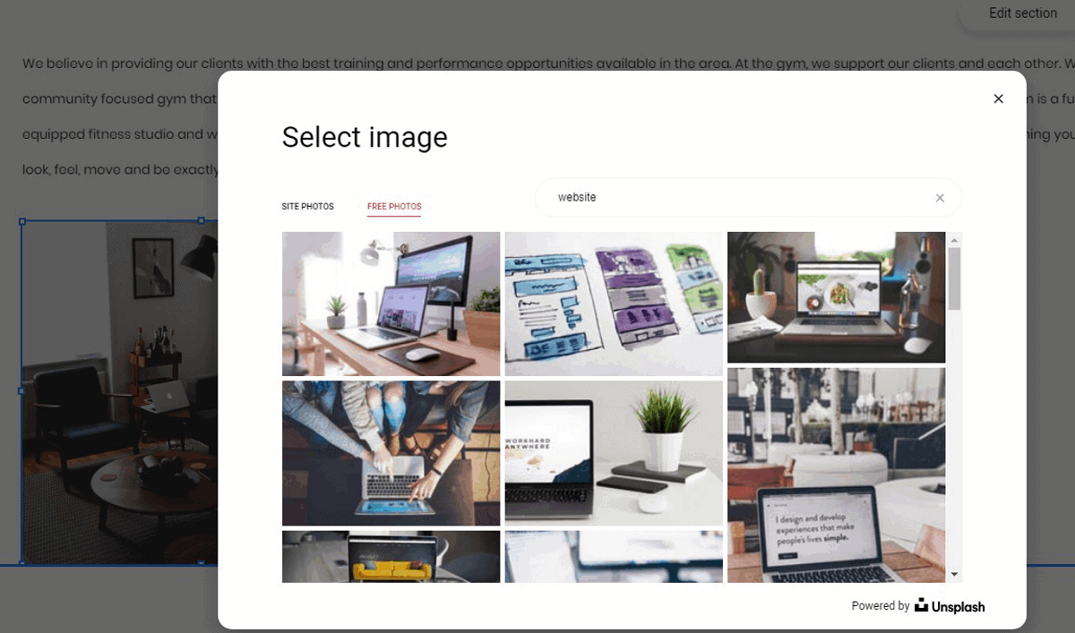 zyro offers free images